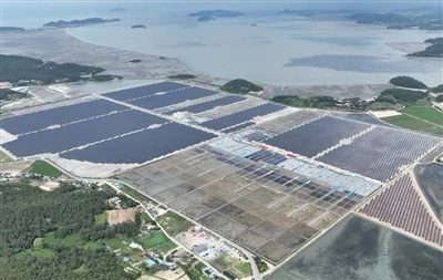 Proyecto Esmeralda Seven Solar: EE.UU. revoca la aprobación de Nevada